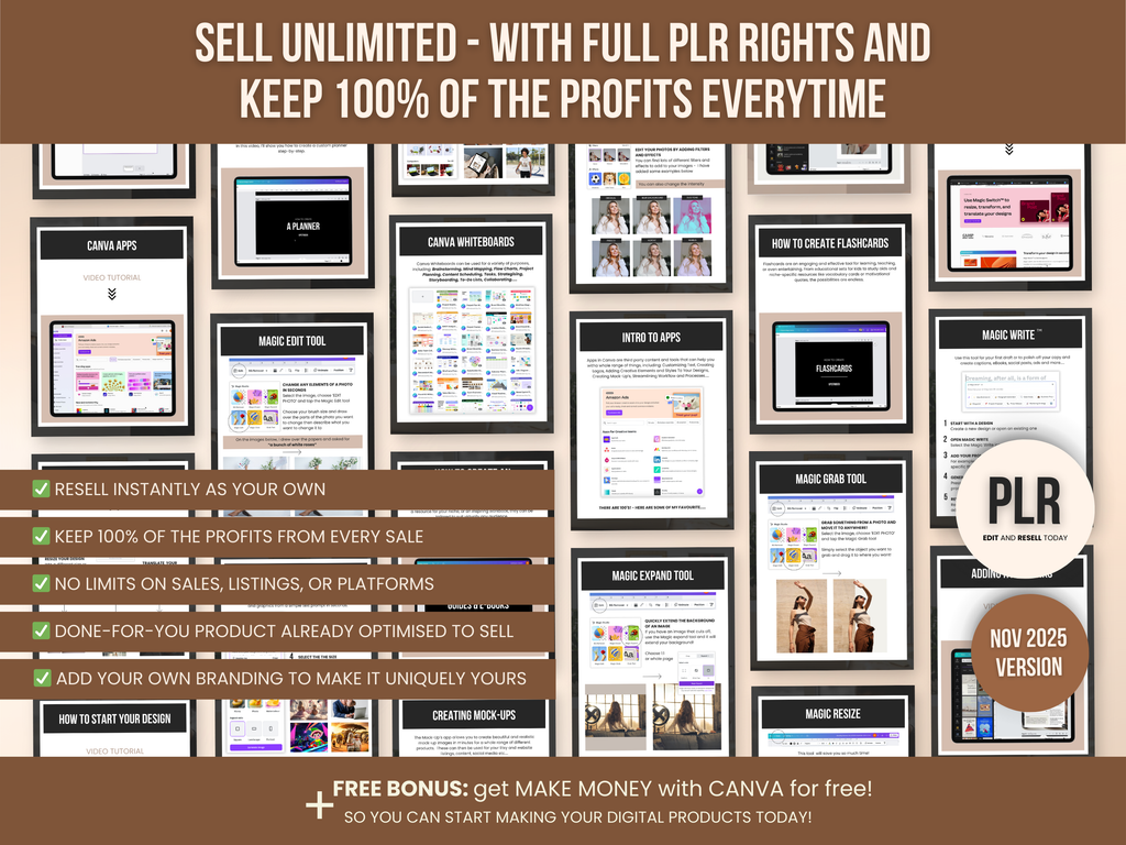 Canva Basic Guide with Private Label Rights