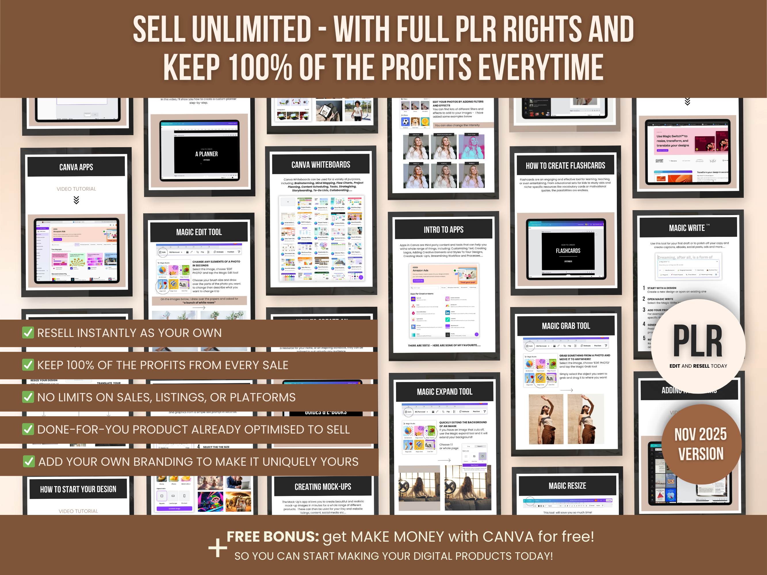 Canva Basic Guide with Private Label Rights