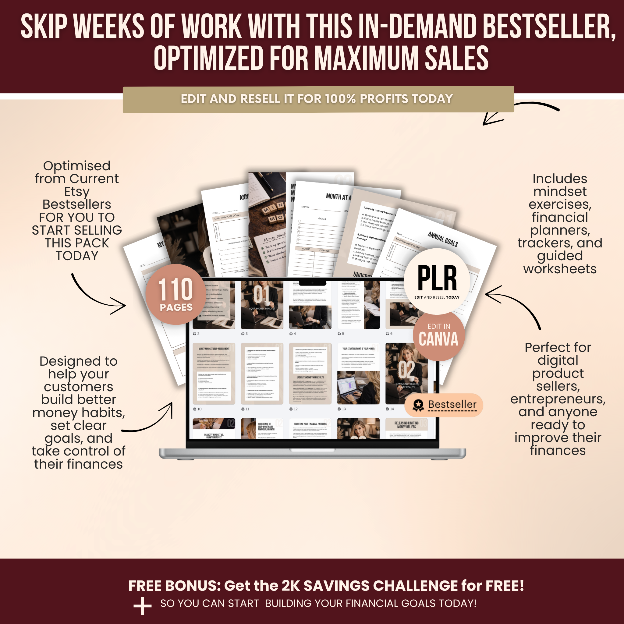 Wealth Mindset Planner Canva Templates With PLR Rights