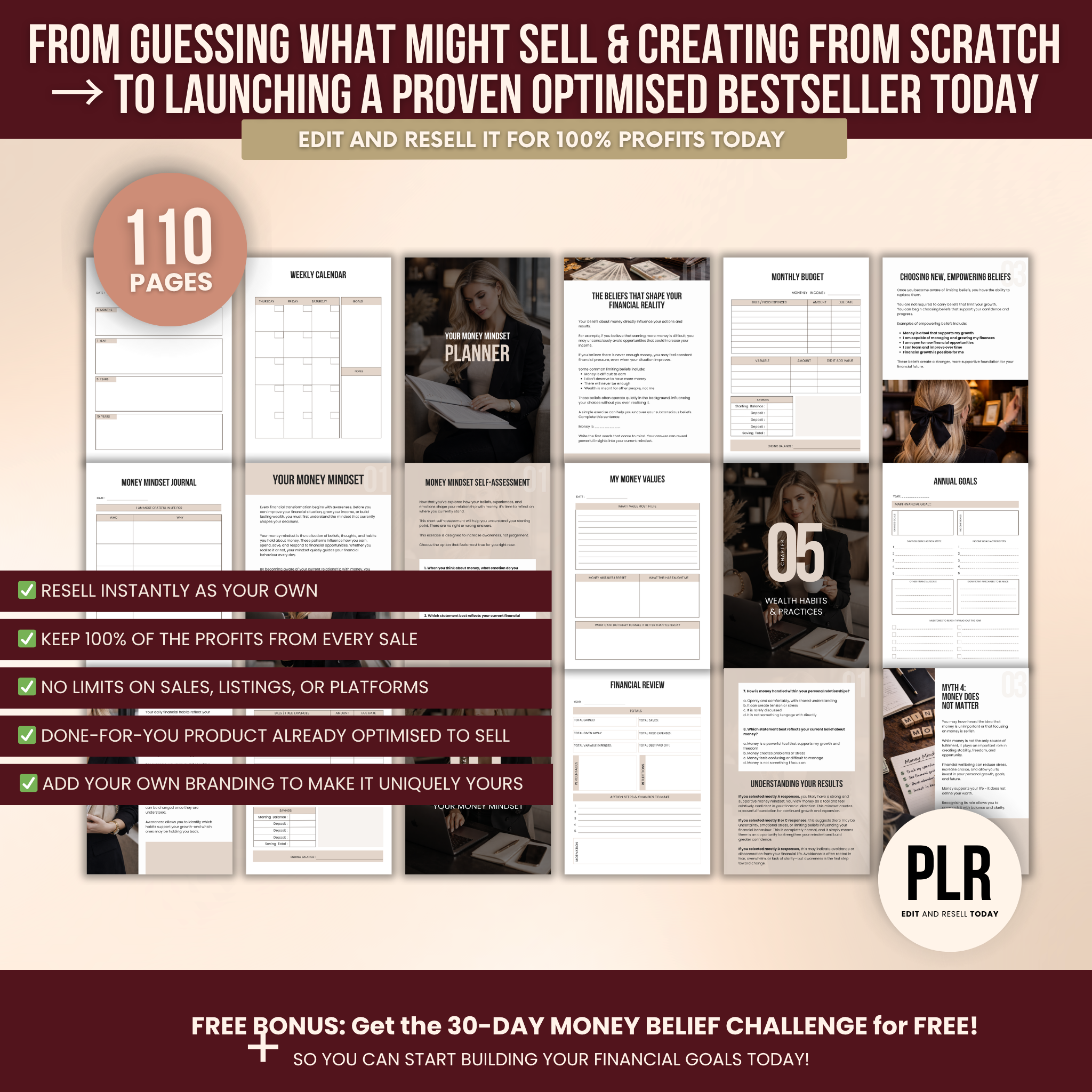 Wealth Mindset Planner Canva Templates With PLR Rights