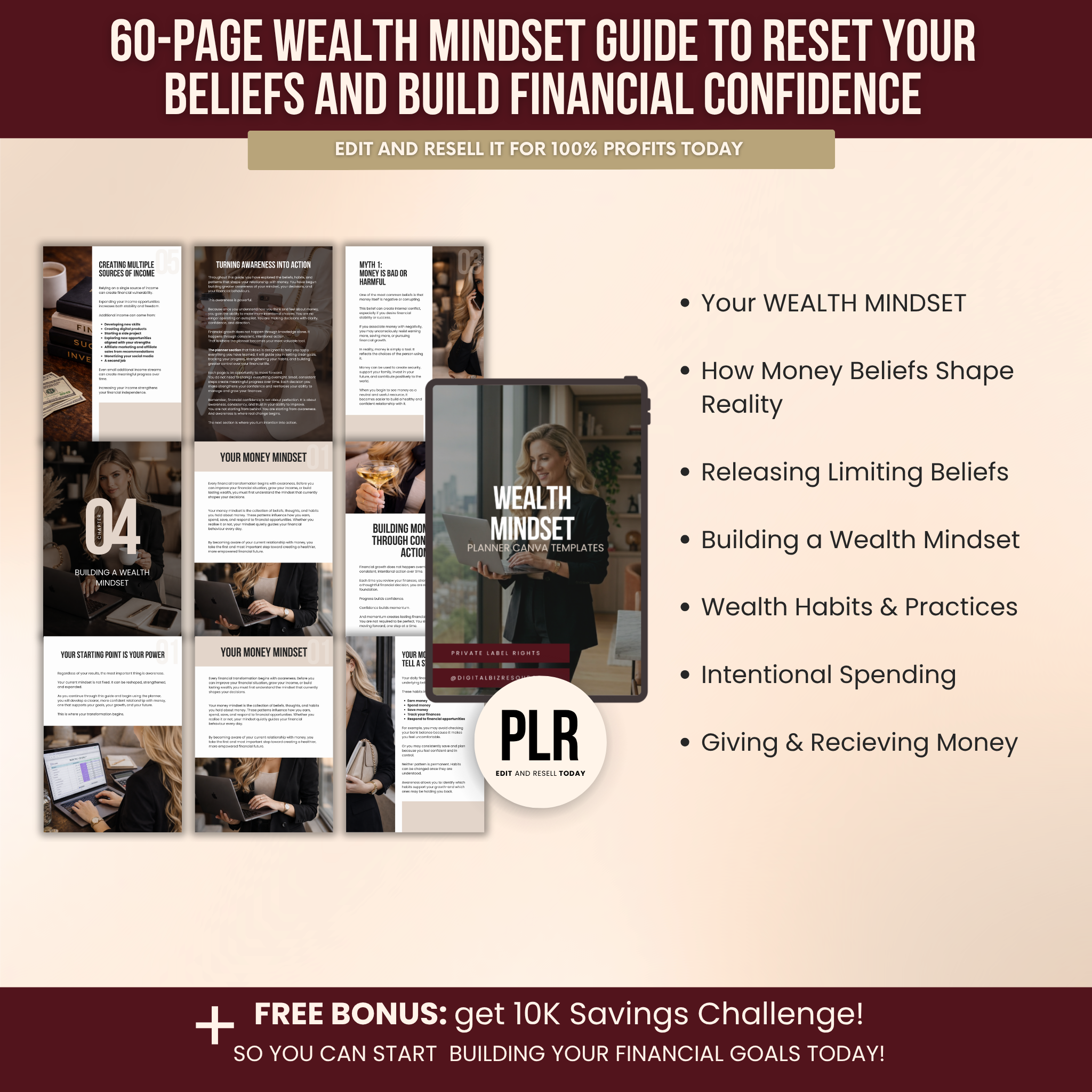Wealth Mindset Planner Canva Templates With PLR Rights
