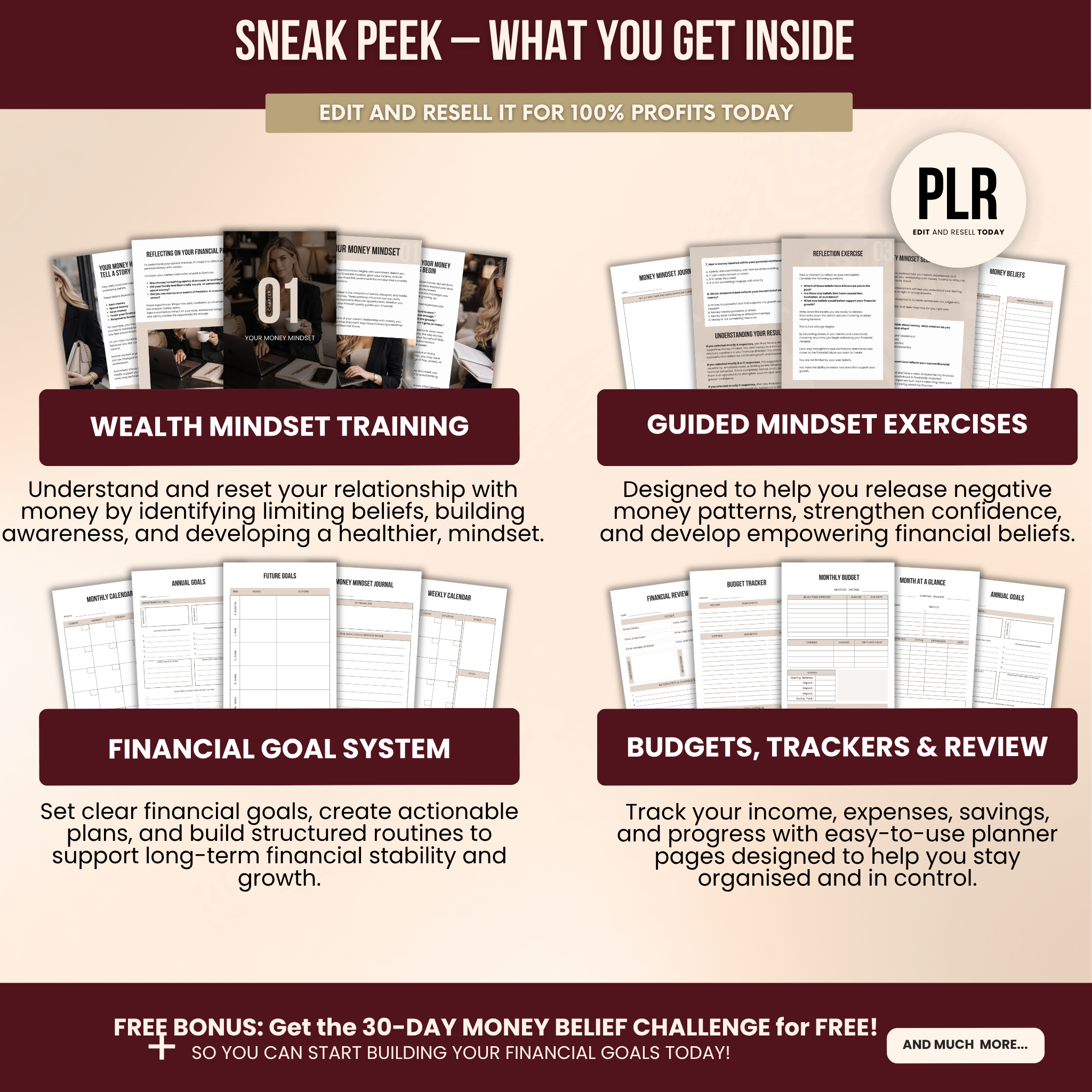 Wealth Mindset Planner Canva Templates With PLR Rights