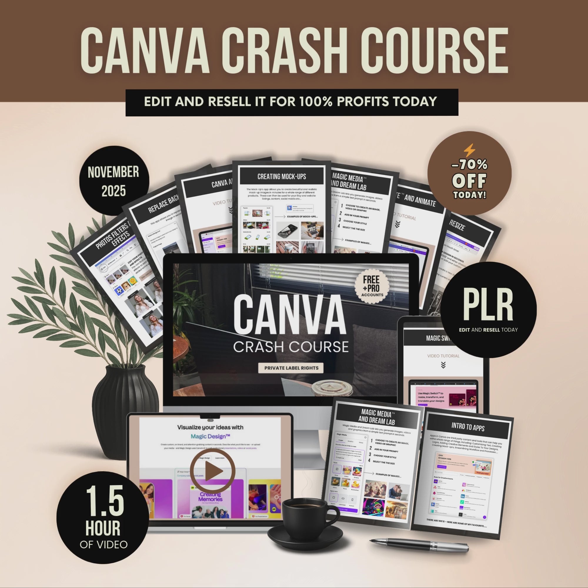 Canva Basic Guide with Private Label Rights